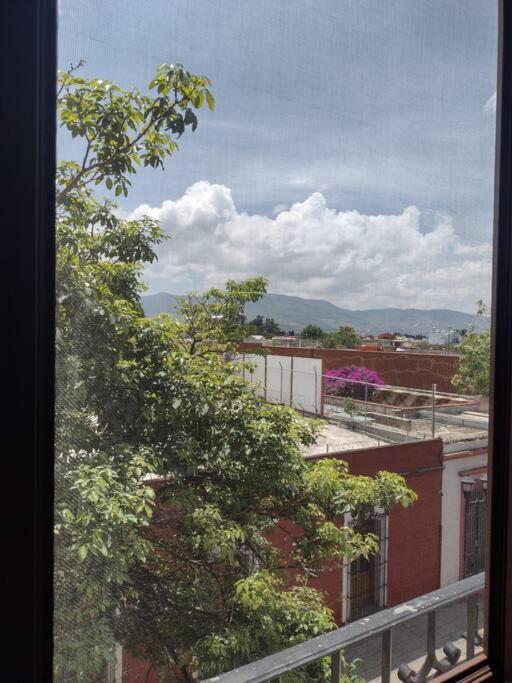 M1010 Agradable Departamento Centrico En Oaxaca Exterior foto
